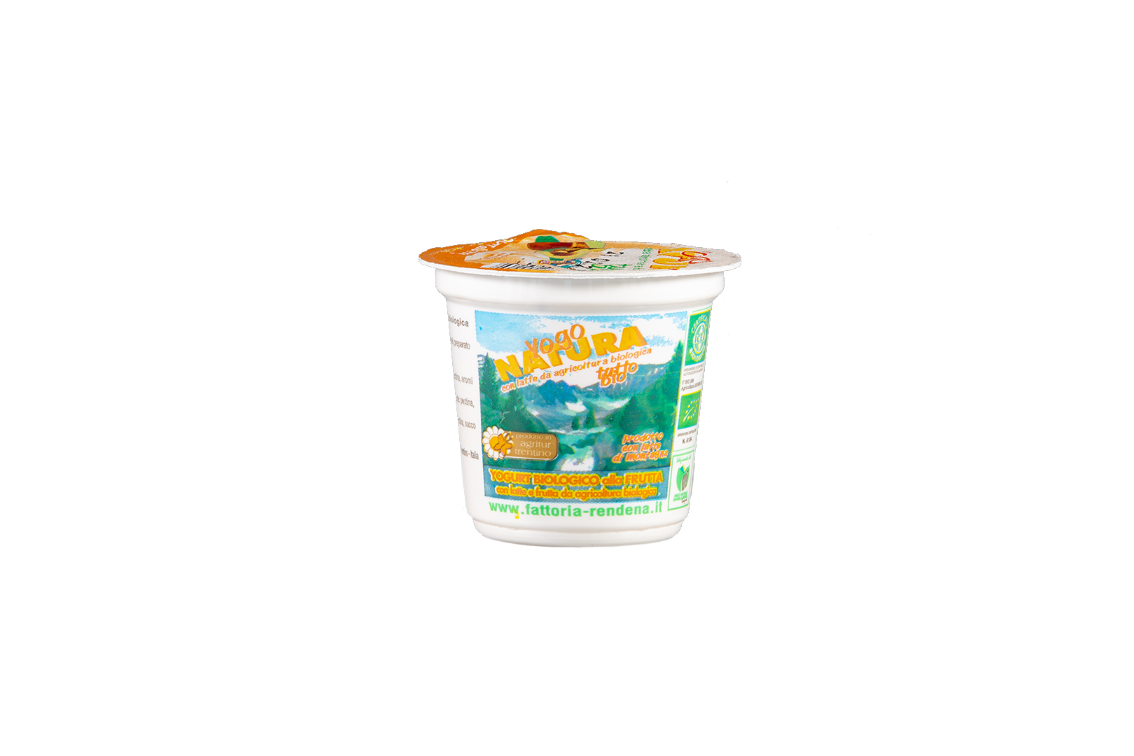 Yogurt intero vasetti da 125 g – Fattoria Antica Rendena – Prodotti Tipici